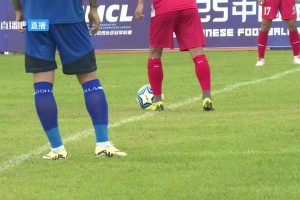 2025年05月01日 中冠区域分组赛第3轮 湖北超级先生vs南京铁虎 全场录像