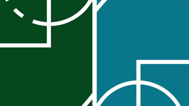 2025年11月13日 黄蜂轻取雄鹿 卡尔克布伦纳8中8砍17分9板3帽 字母哥缺阵