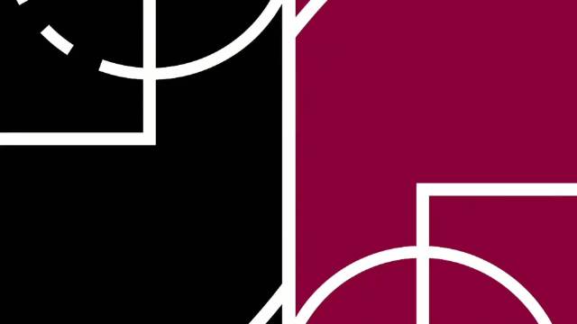 2025年11月14日 猛龙击败骑士 巴恩斯28+10+8 奎克利25+6 米切尔31+6+6