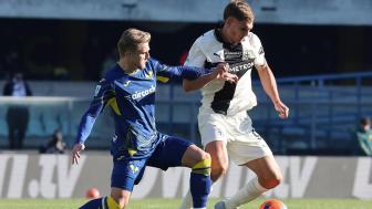 2025年11月24日 意甲-佩莱格里诺双响+制胜球 帕尔马2-1维罗纳